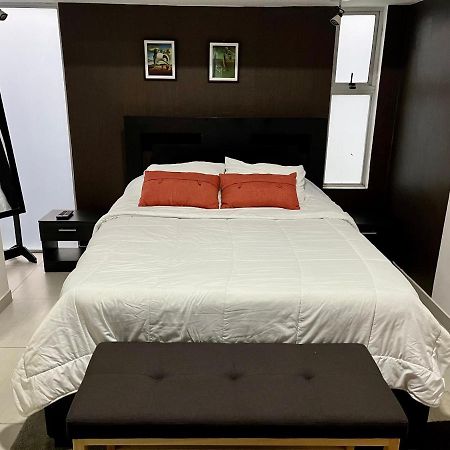 Costa Rica San Jose Full And Comfortable Apartament Pinares Curridabat Dış mekan fotoğraf