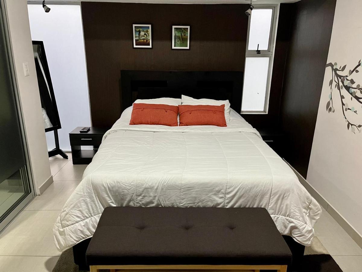 Costa Rica San Jose Full And Comfortable Apartament Pinares Curridabat Dış mekan fotoğraf