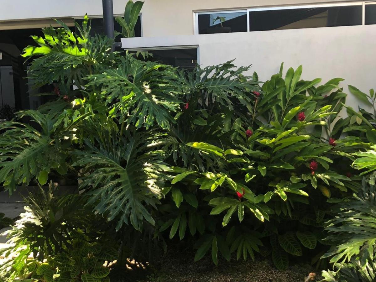 Costa Rica San Jose Full And Comfortable Apartament Pinares Curridabat Dış mekan fotoğraf