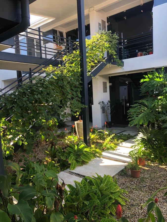 Costa Rica San Jose Full And Comfortable Apartament Pinares Curridabat Dış mekan fotoğraf