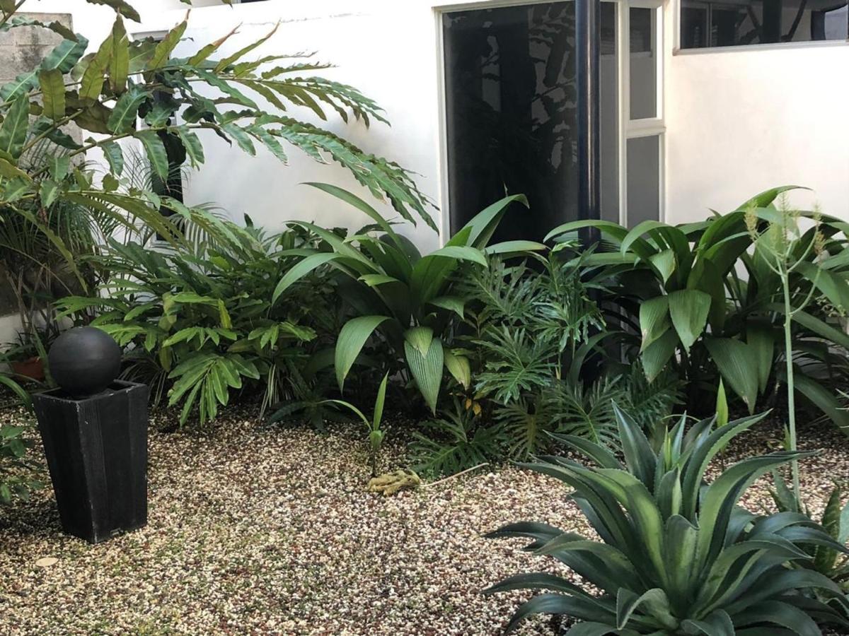 Costa Rica San Jose Full And Comfortable Apartament Pinares Curridabat Dış mekan fotoğraf
